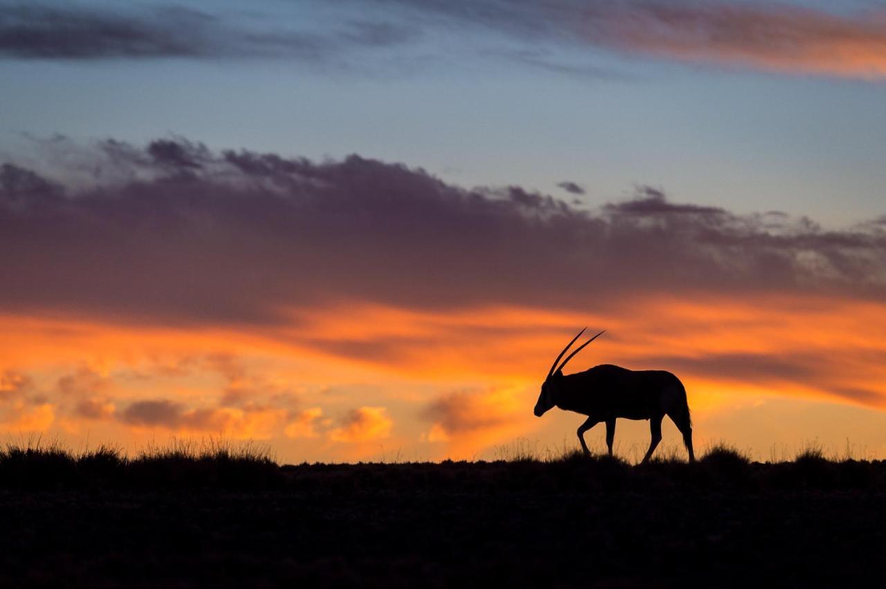 Wilderness Safaris Kulala Desert Lodge Sesriem Buitenkant foto
