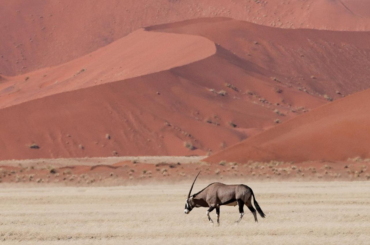 Wilderness Safaris Kulala Desert Lodge Sesriem Buitenkant foto
